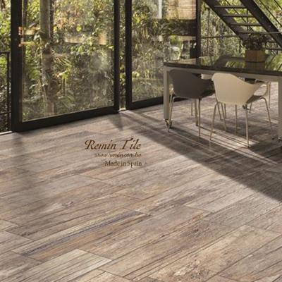 台北木紋磚首選-黛綺莉