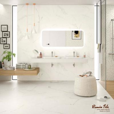 大理石銀狐-麗雲