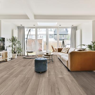 木紋磚-幸福森林